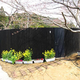 Image for article titled The Most Amazing Places to Pee and Poop in Japan